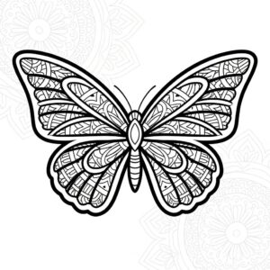 Borboleta para Colorir