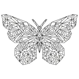 Borboleta para Colorir
